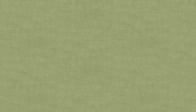 LINEN TEXTURE  SAGE1473-G4