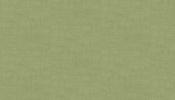 LINEN TEXTURE  SAGE1473-G4