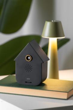 Boîte à Résonance Coucou Moderne