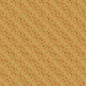 ANDOVERboisautomne1546LN